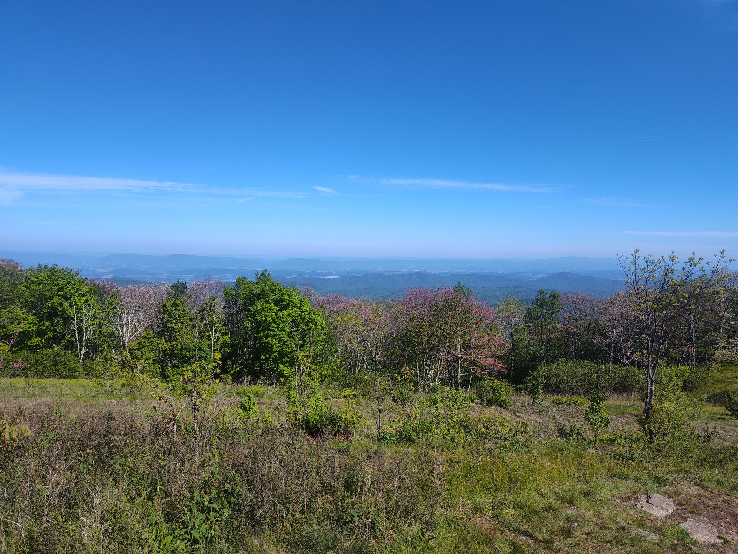 Tar Jacket Ridge